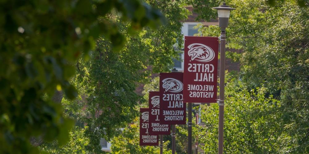 Flags on campus